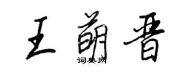 王正良王萌晋行书个性签名怎么写