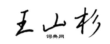 王正良王山杉行书个性签名怎么写