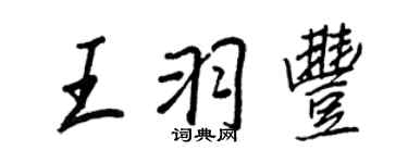 王正良王羽丰行书个性签名怎么写