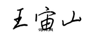 王正良王宙山行书个性签名怎么写