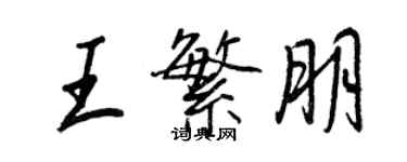 王正良王繁朋行书个性签名怎么写