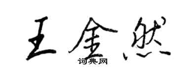 王正良王金然行书个性签名怎么写