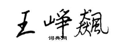 王正良王峥飚行书个性签名怎么写