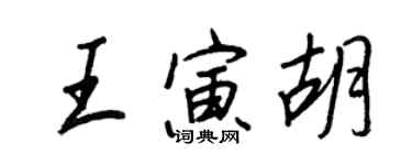 王正良王寅胡行书个性签名怎么写