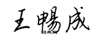 王正良王畅成行书个性签名怎么写