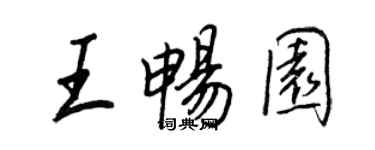王正良王畅园行书个性签名怎么写