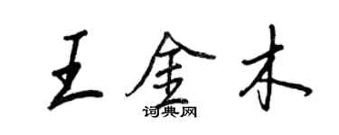 王正良王金木行书个性签名怎么写