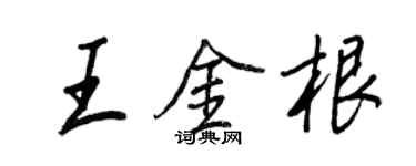 王正良王金根行书个性签名怎么写