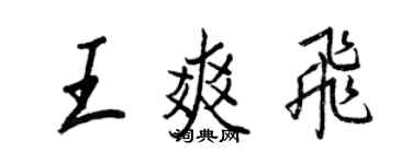 王正良王爽飞行书个性签名怎么写