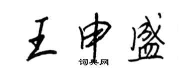 王正良王申盛行书个性签名怎么写
