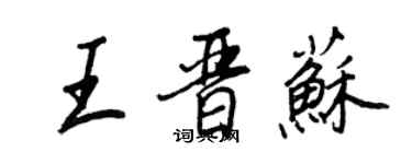 王正良王晋苏行书个性签名怎么写