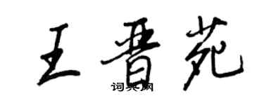 王正良王晋苑行书个性签名怎么写