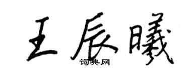 王正良王辰曦行书个性签名怎么写