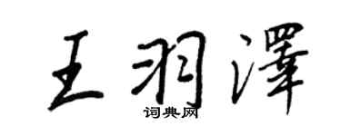 王正良王羽泽行书个性签名怎么写