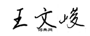 王正良王文峻行书个性签名怎么写