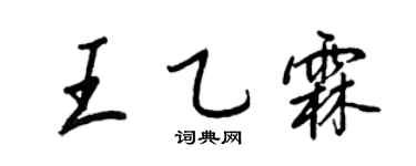 王正良王乙霖行书个性签名怎么写