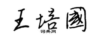 王正良王培国行书个性签名怎么写
