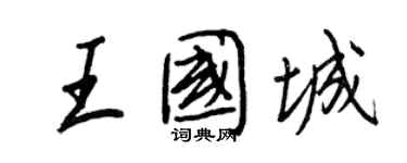 王正良王国城行书个性签名怎么写
