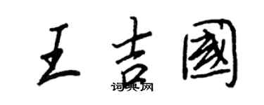 王正良王吉国行书个性签名怎么写