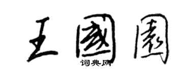 王正良王国园行书个性签名怎么写