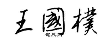 王正良王国朴行书个性签名怎么写