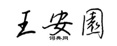 王正良王安园行书个性签名怎么写