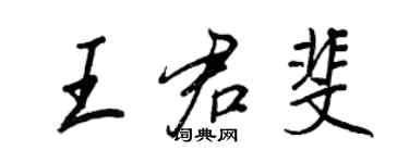 王正良王君斐行书个性签名怎么写