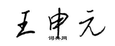 王正良王申元行书个性签名怎么写