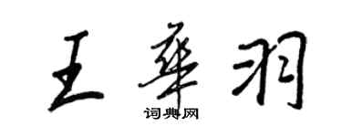 王正良王华羽行书个性签名怎么写