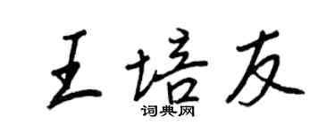 王正良王培友行书个性签名怎么写