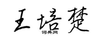 王正良王培楚行书个性签名怎么写