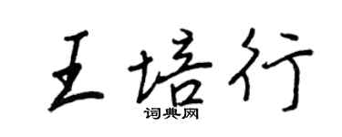 王正良王培行行书个性签名怎么写