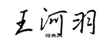 王正良王河羽行书个性签名怎么写