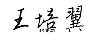 王正良王培翼行书个性签名怎么写