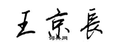 王正良王京长行书个性签名怎么写