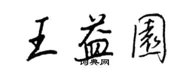 王正良王益园行书个性签名怎么写