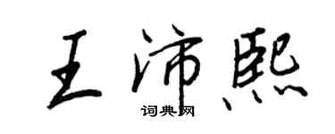 王正良王沛熙行书个性签名怎么写