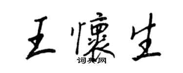 王正良王怀生行书个性签名怎么写