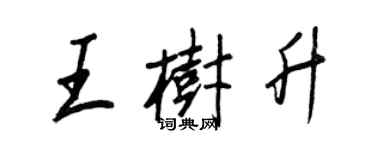 王正良王树升行书个性签名怎么写