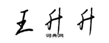 王正良王升升行书个性签名怎么写