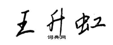 王正良王升虹行书个性签名怎么写