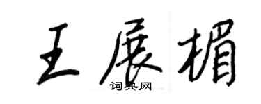 王正良王展楣行书个性签名怎么写