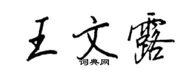 王正良王文露行书个性签名怎么写