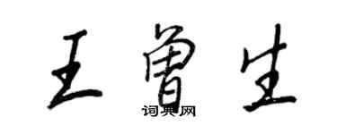 王正良王曾生行书个性签名怎么写