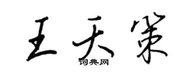 王正良王夭策行书个性签名怎么写