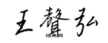 王正良王声弘行书个性签名怎么写