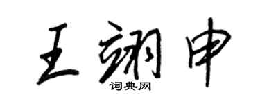 王正良王翊申行书个性签名怎么写