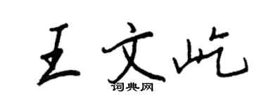 王正良王文屹行书个性签名怎么写