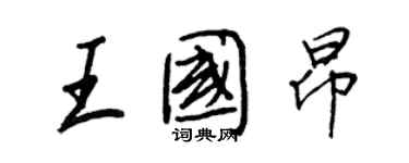 王正良王国昂行书个性签名怎么写