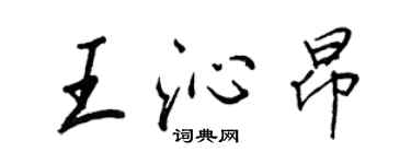 王正良王沁昂行书个性签名怎么写